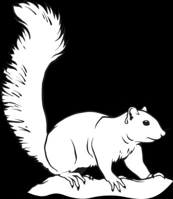 EstrnFoxSquirrel01NC2bw