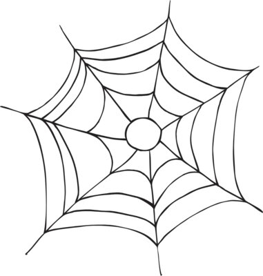 SPIDERWEB2