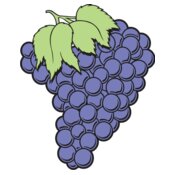 Grapes01NC2clr