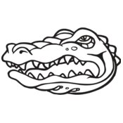 Alligators-Gators-Crocs